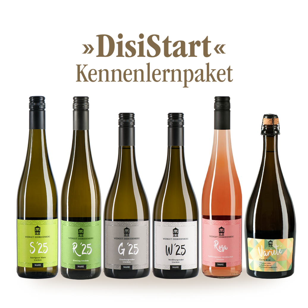 »DisiStart« 6 Flaschen - 1 guter Anfang